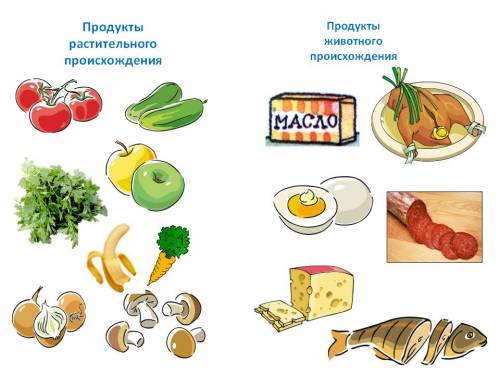 Какие продукты растительного происхождения и животного происхождения? за ранее.