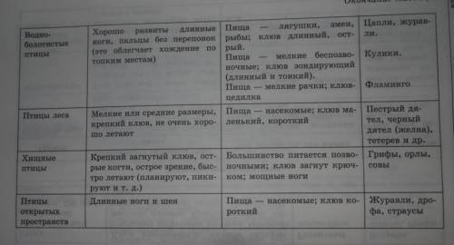 Класс птиц название отрядов особенности отрядов представители место обитание