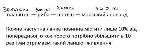 Установіть відповідність між компонентами ланцюга живлення планктон — риба — пінгвін — морський леоп