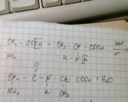 1) уранение реакции взаимодействия аминоуксусной кислоты с 2аминопропановой кислотой. 2) осуществите