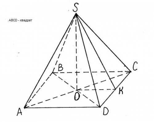 Вправильной четырёх угольной пирамиде сторона основания равна 10 см,а боковое ребро 13 см.найдите вы