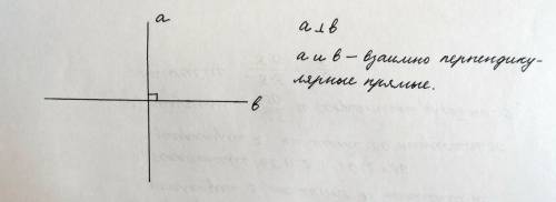 Проведите две взаимно перпендикулярные прямые назовите равные фигуры на полученном чертеже