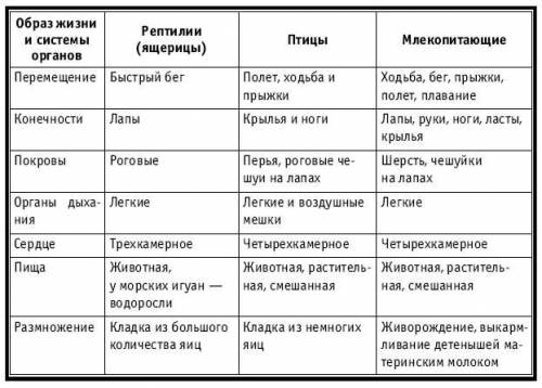 сравнительная таблица строения рептилий птиц и млекопитающих