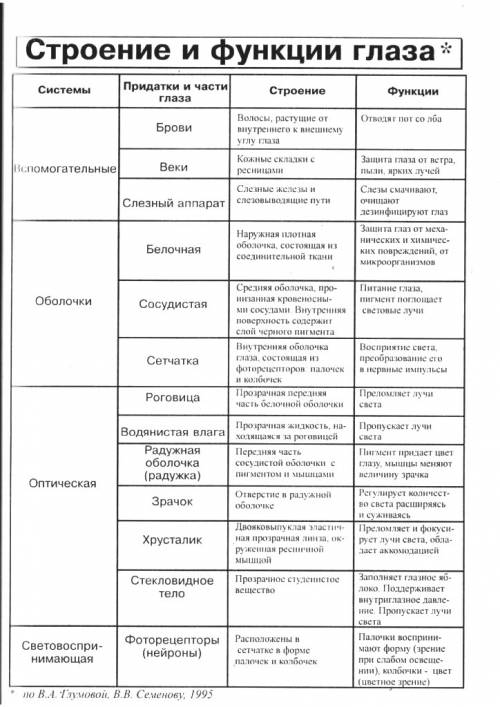 Таблица по биологии орган зрения и зрительный анализатор органы функции