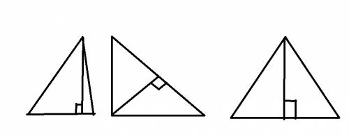 Дан треугольник.проведите его высоты(произ