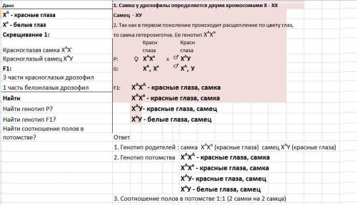 При скрещивание красноглазых самок дрозофилы с красноглазым самцом (ген красного цвета доминантен, п