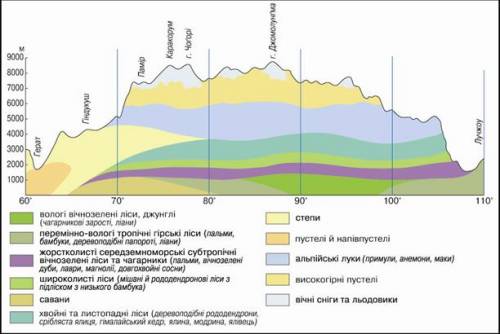 Скиньте фото висотной поясности кримських гор.