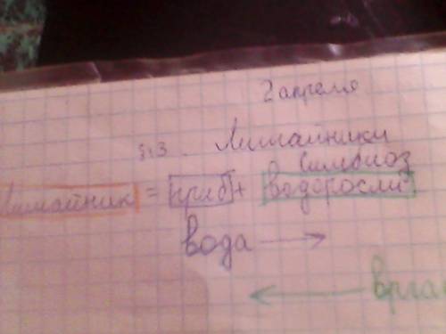 Нужно ! решите - получите много ! можете отвечать не на все , но лучший я выберу тот , где будут все