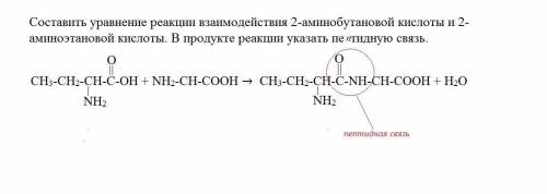 Составить уравнение реакции взаимодействия 2-аминобутановой кислоты и 2-аминоэтановой кислоты. в про