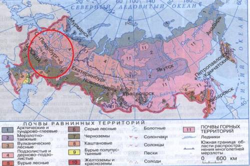 Какие почвы распространены в вашей местности .какие меры по повышению их плодородия предпринимаются