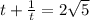 t+\frac{1}{t}=2\sqrt{5}