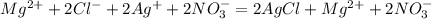 Mg^{2+}+ 2Cl^{-} + 2Ag^{+} + 2NO_{3}^{-} = 2AgCl + Mg^{2+} + 2NO_{3}^{-}