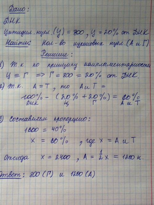 Сколько пуриновых азотистых оснований содержится во фрагменте молекулы днк, если в нём обнаружено 80