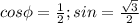 cos \phi=\frac{1}{2}; sin \pfi=\frac{\sqrt{3}}{2}