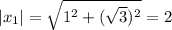 |x_1|=\sqrt{1^2+(\sqrt{3})^2}=2