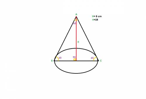 Высота конуса равна 8 см, угол при вершине осевого сечения равен 60градусов. найти радиус конуса и п