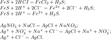 FeS + 2HCI=FeCl_2 + H_2S; \\&#10;FeS + 2H^{+} + 2Cl^{-} = Fe^{2+} + 2Cl^{-} + H_2S; \\ &#10;FeS + 2H^{+} = Fe^{2+} + H_2S. \\ \\ &#10;AgNO_3 + NaCl = AgCl + NaNO_3; \\ &#10;Ag^{+} + NO_3^{-} + Na^{+} + Cl^{-} = AgCl + Na^{+} + NO_3^{-}; \\ &#10;Ag^{+} + Cl^{-} = AgCl.