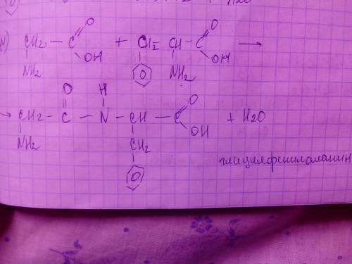 Написать реакцию: глицин+фенилаланин