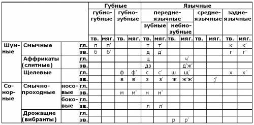 Фонетика в разделе науки о языке. звуки речи как предмет изучения фонетики. основные группы звуков я