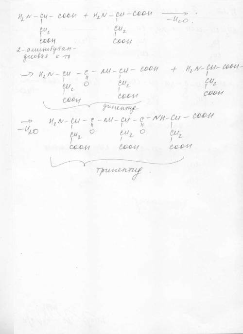 :напишите уравнение реакций образования дипептидов и трипептидов из аспаргиновой кислоты(2-аминобута