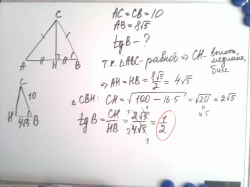 Втреугольнике abc ac=bc=10,ab=8корней из 5 . найдите tgb.