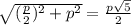 \sqrt{ (\frac{p}{2}) ^2+p^2} = \frac{p\sqrt{5}}{2}