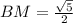 BM= \frac{ \sqrt{5}}{2}