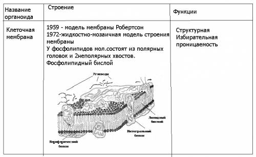 Составьте таблицу органелл клетки, укажите их строение и функции. 5 класс я знаю, что органелла клет