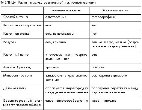 Відмінност і між будовою і життєдіяльностю тваринної і рослинної клітини !