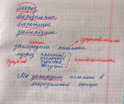 Выдели основу и корень в однокоренных словах, подсказка -л- в глаголах в основу не входит, мороз в м