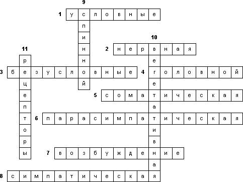 Придумать и сделать кроссворд с рисунками «нервная система»