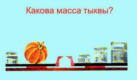 Какова масса тыквы? на весах тыква воле неё 1кг на другой стороне 500г, 2кг, 5кг.