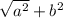 \sqrt{a^{2} } + b^{2}