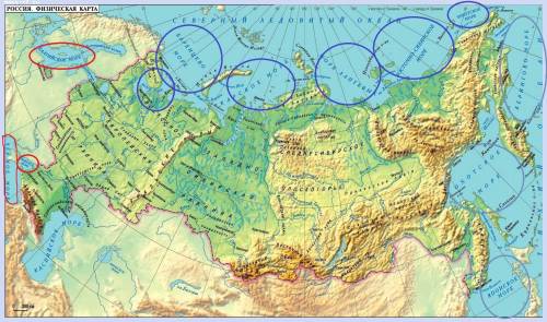 Определите к каким океанам относятся перечисленные моря.синий кружок-моря северного ледовитого океан