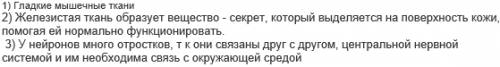 Вкаких тканях есть клетки с отростками, направленными не в разные стороны, а все - в одну? 2. желези