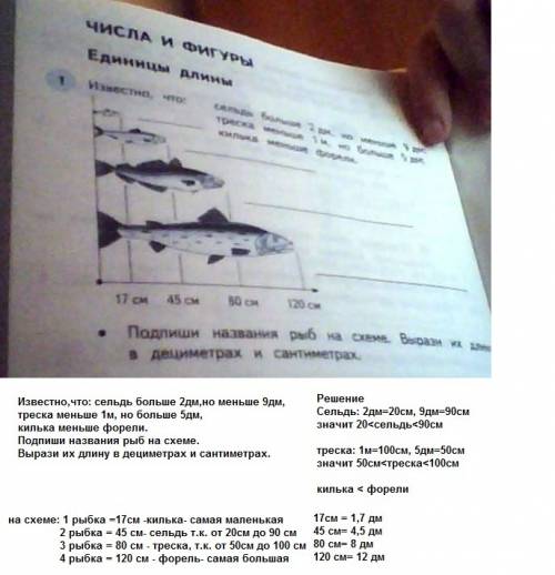 Известно,что: сельдь больше 2 дм,но меньше 9 дм; треска меньше 1 м, но больше 5 дм килька меньше фор