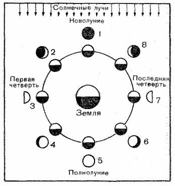 Объясните почему внешний вид луны меняется в течении месяца
