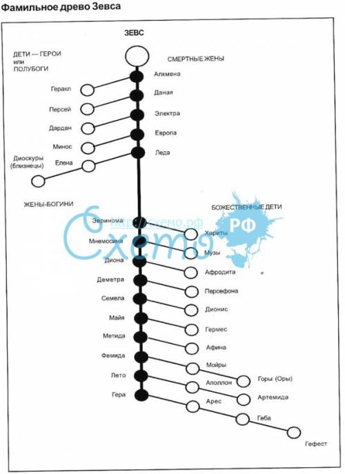 Найдите фамильное дерево зевса на картинки отвечать ссылкой