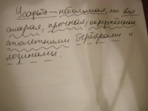 Усадьба- небольшая, но вся старая, прочная, окруженная столетними березками и лозинами. разобрать пр