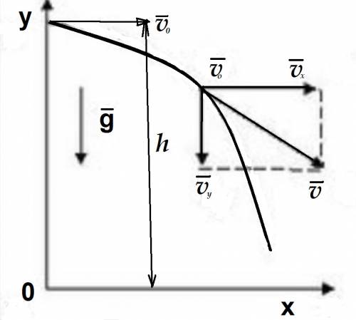 Какая траектория у тела брошенного с высоты h с начальной скоростью направленной параллельно земли?