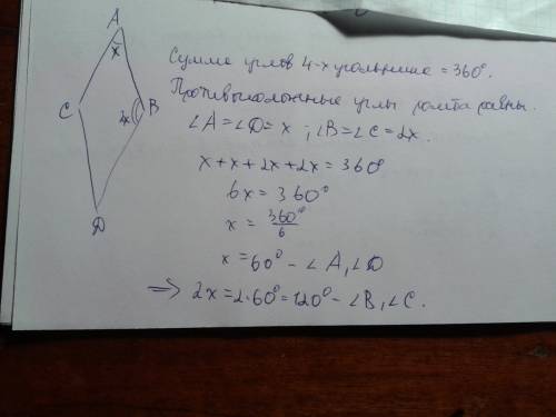 Дано: abcd-ромб,угол bac относится к углу abd как 1: 2 найти: углы abcd