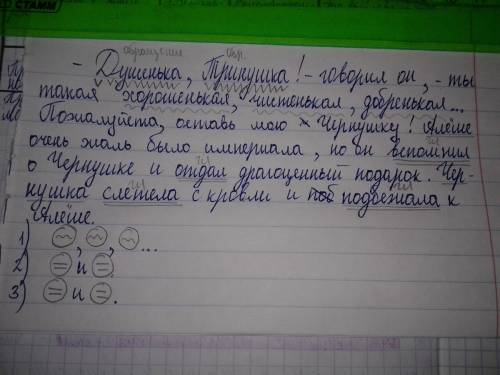 Прочитайте предложения, найдите однородные члены. составьте схему. -душенька, тринушка! -говорил он,