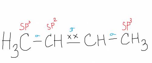 Укажите типы гибридизации атомов углерода и типы связей в молекуле 2-бутена