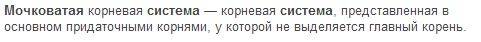 Скажите определение мочковатой системе. за ответ зарание! )