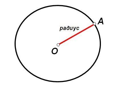 Построй радиус окружности и измерь его длину.