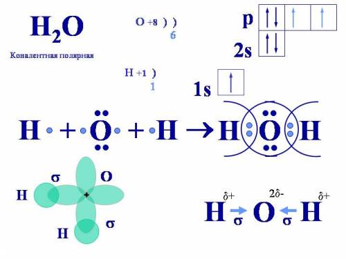 Показать образование связи, указать тип связи h²o