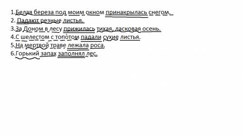 Разбор предложений по главным и второстепенным членам. 1.белая береза под моим окном принакрылась сн