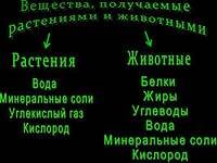 Мне нужна схема на тему что растения животным и человеку .