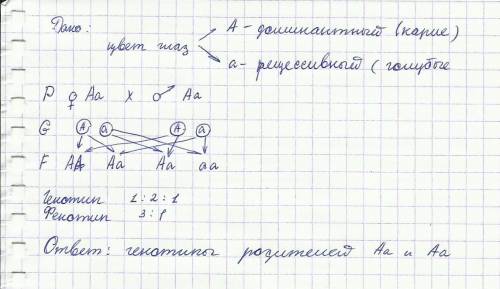 Уродителей,имеющих карие глаза,2 кареглазых и 1 голубоглазый ребенок.каковы генотипы родителей и их