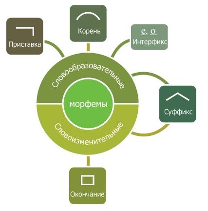 Что это такое за морфема? для чего используется в языке? где обычно стоит в слове?